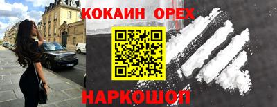 СК Новодвинск