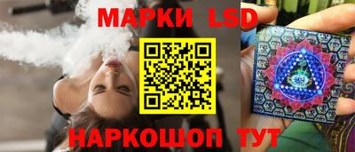 СК Новодвинск