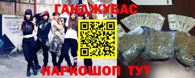 СК Новодвинск