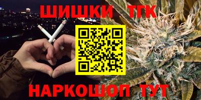 СК Новодвинск