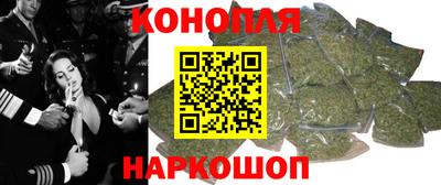 СК Новодвинск