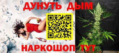 СК Новодвинск