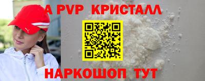 СК Новодвинск