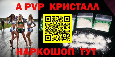 СК Новодвинск