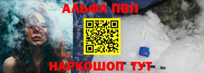 СК Новодвинск