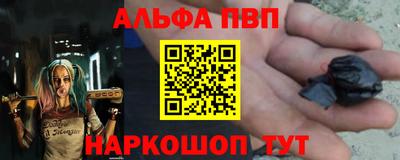 СК Новодвинск