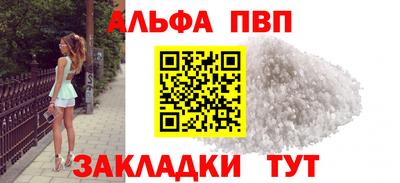 СК Новодвинск
