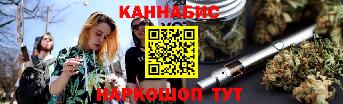 Канабис сатива Гай